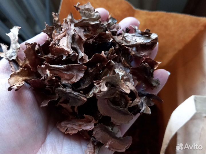 Перепонки грецкого ореха