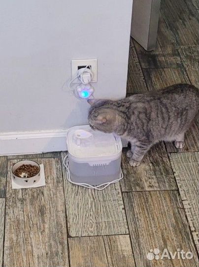 Фонтан поилка