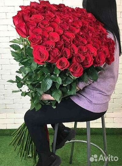 Высокие розы Гигантские Розы 150 160 170 180 190см