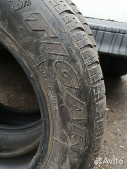 Tigar Sigura Stud 175/65 R14