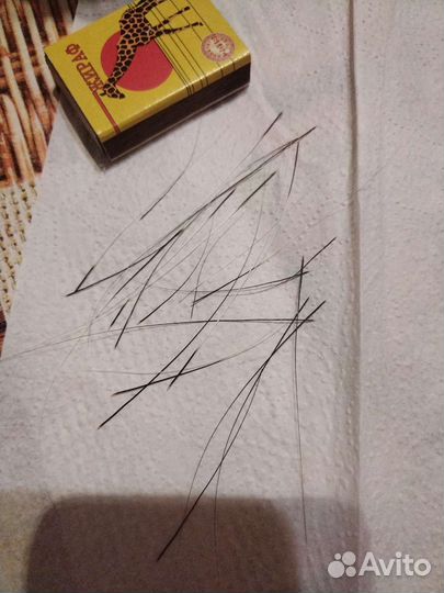 Усики кошек. Виброссы