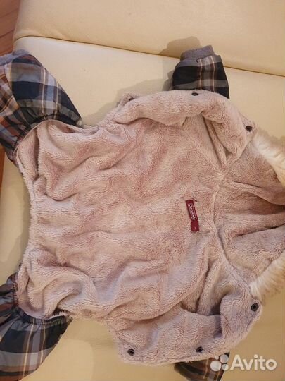 Одежда для собак