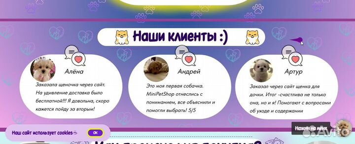 Создание сайта лендинга