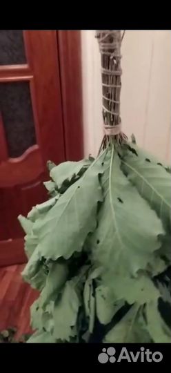 Банные веники