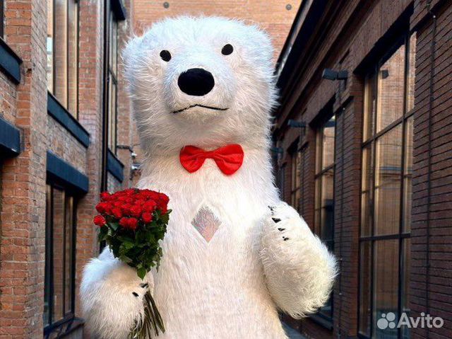 Белый мишка поздравление, ми ту ю, панда