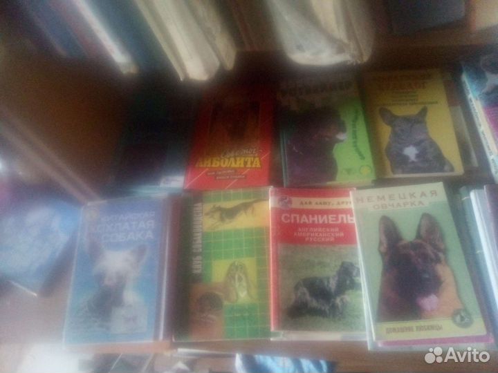 Книги по собачкам и кошечкам и другим животным