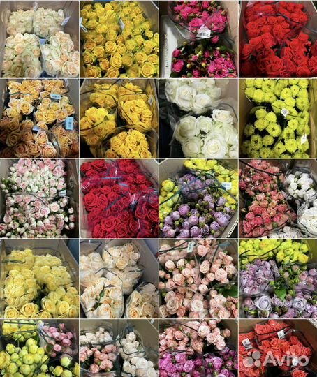 Цветы оптом - розы пионы альстромерия оптом