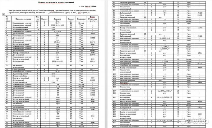 Получение разрешения на (снос) вырубку деревьев