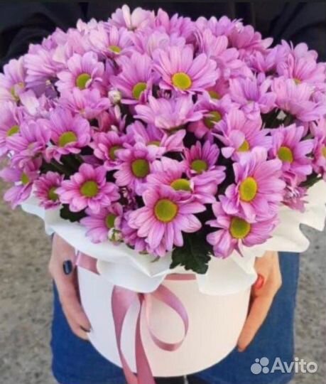 Хризантема композиция живые цветы подарок