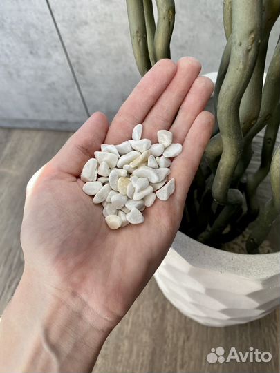 Кашпо для цветов