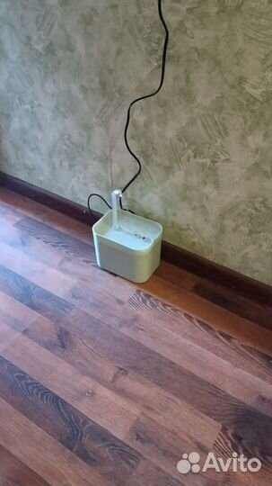 Новая поилка для кошки