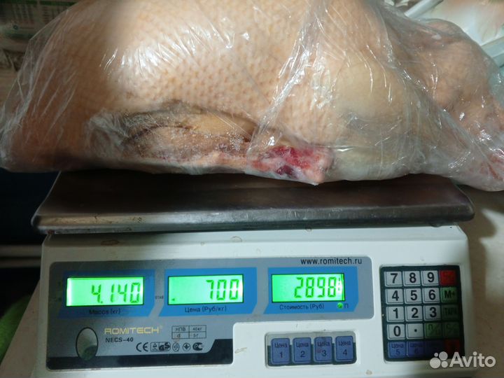 Гуси свежие, муларды