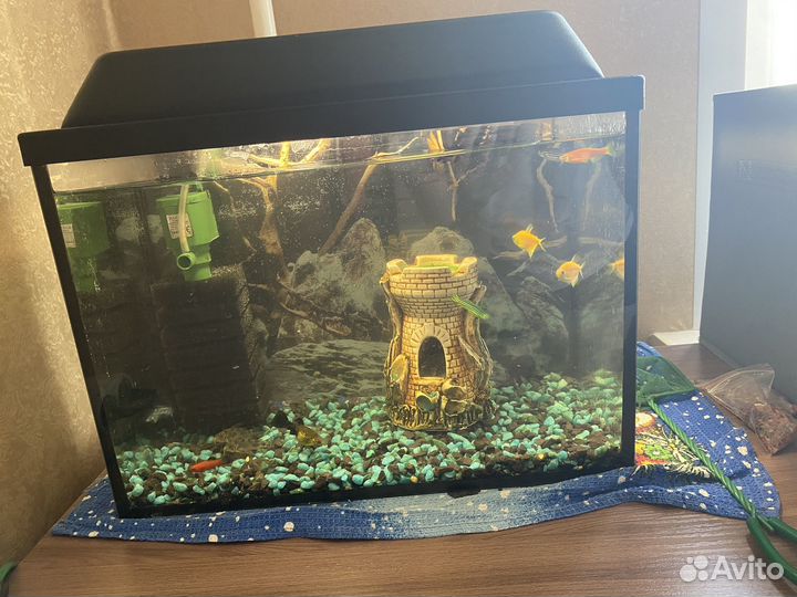 Аквариум 20 литров