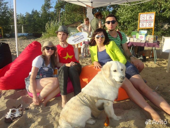 Аренда кресел-груш