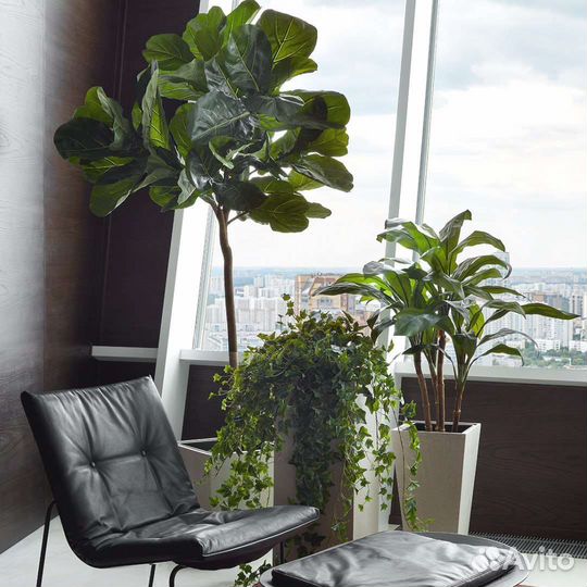 Растения, деревья в кашпо, арт 221, от