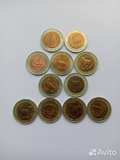 896 Красная книга 91-94г