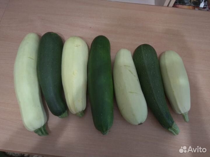 Кабачки свежие домашние,эко продукт