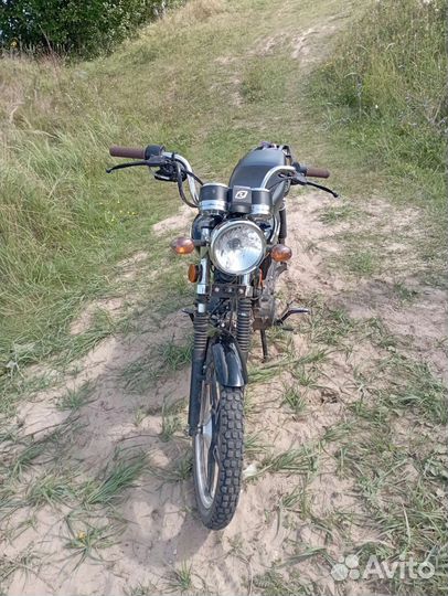 Альфа рейсер