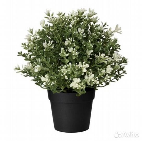 IKEA Исeкусственное растение в горшке, чабрец