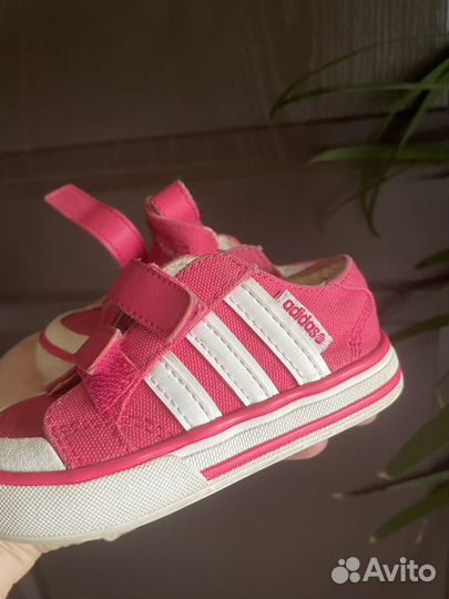 Кеды adidas
