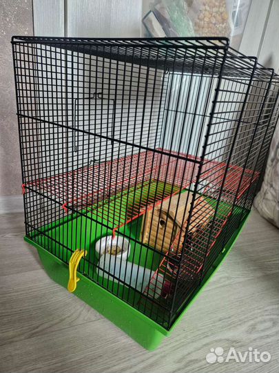 Клетка для грызунов бу