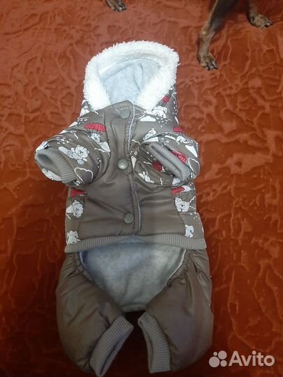 Комбинезон для маленькой собаки