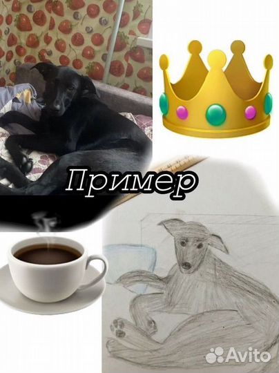 Нарисую вашего питомца на бумаге по фото