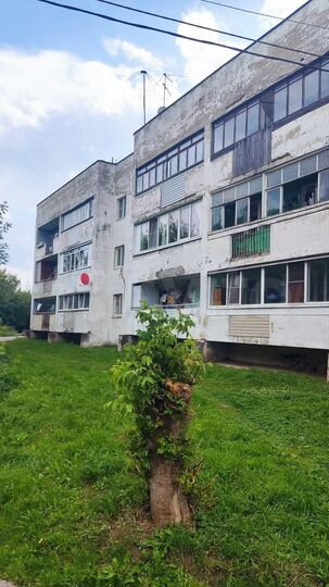 3-к. квартира, 56,5 м², 2/3 эт.