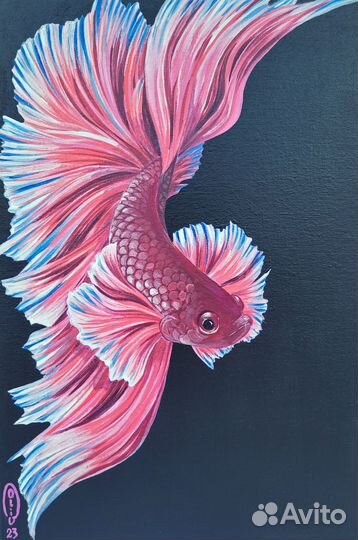 Картина Рыбка Петушок 20 х 30 Акрил