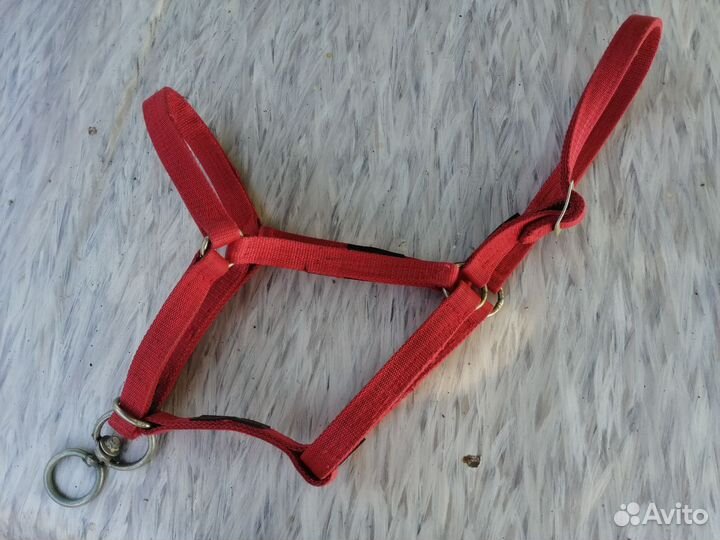 Недоуздок для лошади