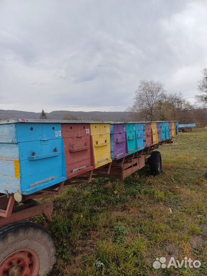 Пчелоприцеп