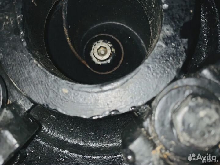 Канализационный насос Zenit MAN550/2/80+Ш/У Аренда