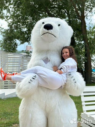 Поздравление от медведя