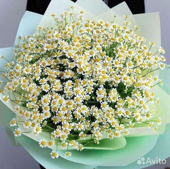 Букеты ромашек