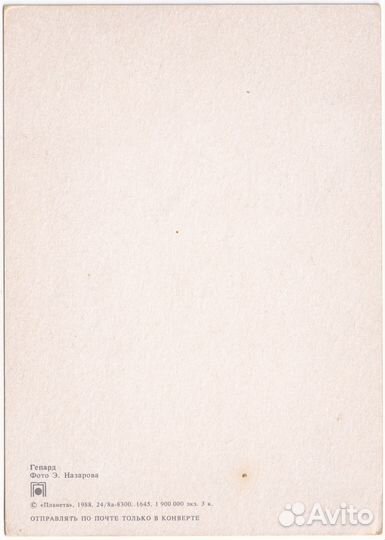 Открытка СССР 