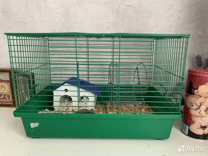 Хомяк с клеткой