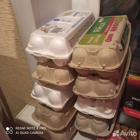 Ячейки для яиц