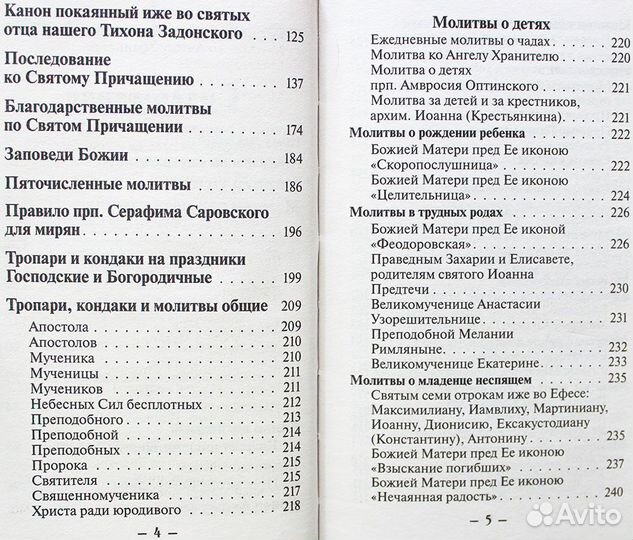 Молитвенный щит православного христианина Дудкин Е