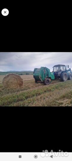 Сено в тюках