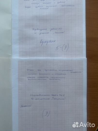 Индивидуальная работа по статистике/экономика