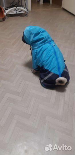 Комбинезон для маленькой собаки