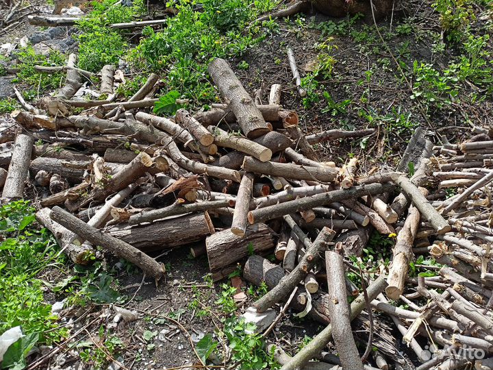 Дрова