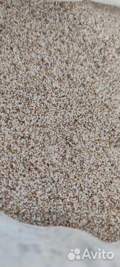 Амарант семена