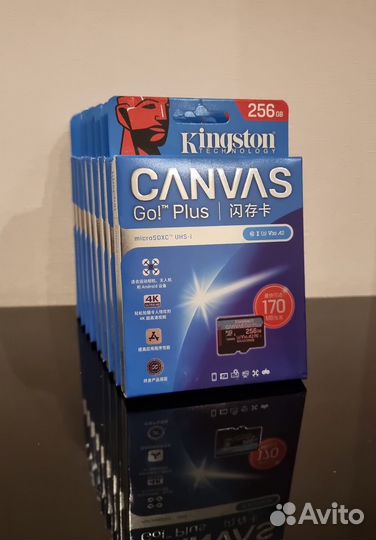 Карта памяти microSD Kingston Canvas Go Plus 256GB