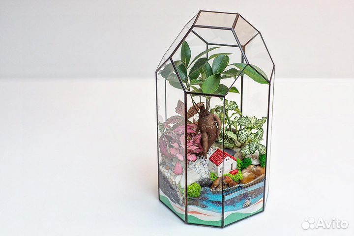Флорариум Бонсай