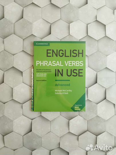 English Phrasal Verbs in Use Advanced