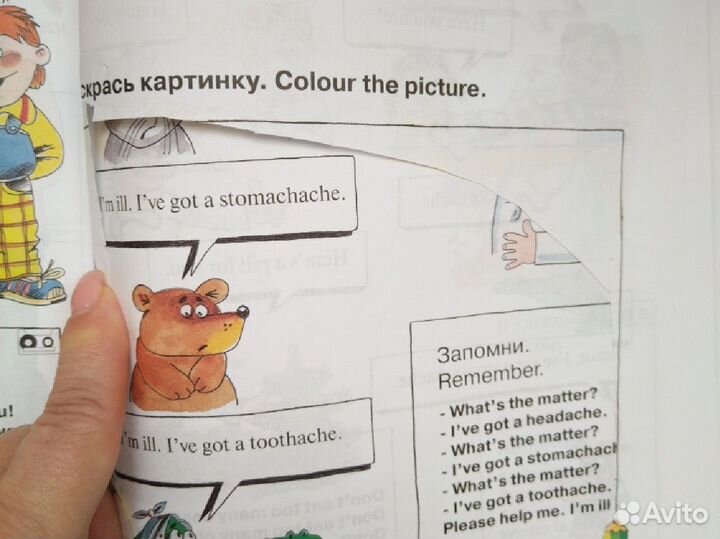 Английский для малышей Шишкова