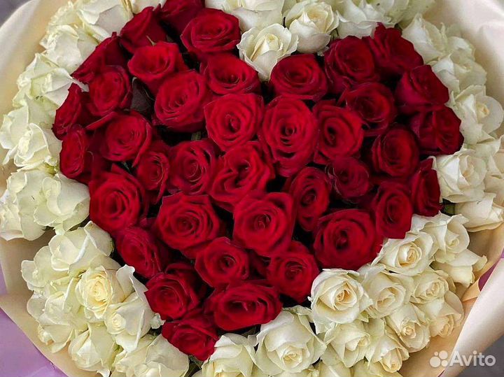 Роза 11 15 19 21 25 29 35 39 41 45 51