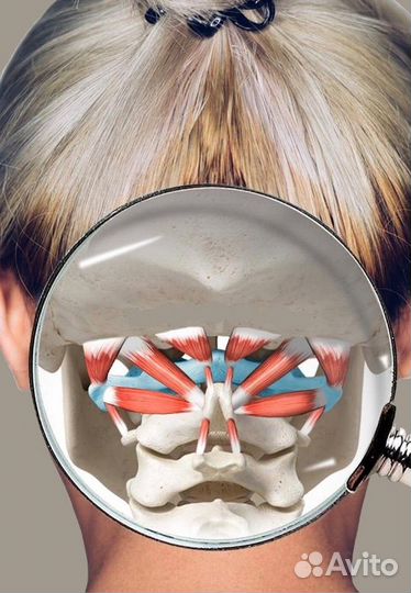 Правка Атланта atlasprofessional