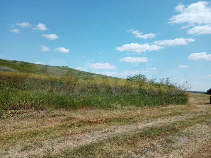 Участок 48 га (СНТ, ДНП)